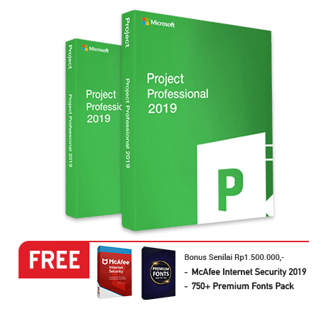 Microsoft Project Professional 2019 3